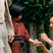 木の上の軍隊 8枚目の写真・画像