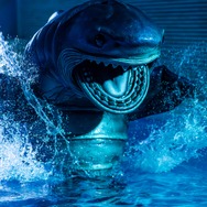 松島トモ子 サメ遊戯 8枚目の写真・画像