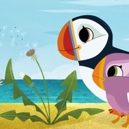 パフィンの小さな島 6枚目の写真・画像