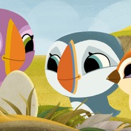 パフィンの小さな島 11枚目の写真・画像