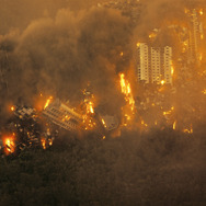 カウントダウン（2025） 21枚目の写真・画像