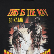 「スター・ウォーズ：マンダロリアン」コレクションアイテム(C) & TM Lucasfilm Ltd.