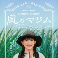 風のマジム 1枚目の写真・画像