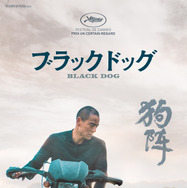 ブラックドッグ 2枚目の写真・画像