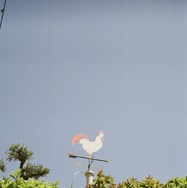 『花まんま』©2025「花まんま」製作委員会