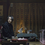 平坦な戦場で 2枚目の写真・画像