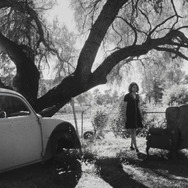 フォーチュンクッキー 8枚目の写真・画像