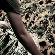 灰となっても 18枚目の写真・画像