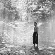 黒の牛 2枚目の写真・画像