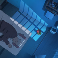 ホウセンカ 8枚目の写真・画像