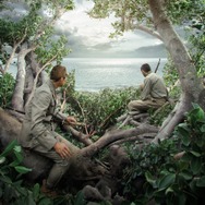 木の上の軍隊 10枚目の写真・画像