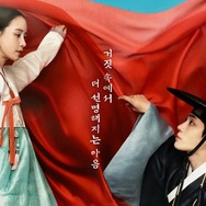 連休中にイッキ見したいなら絶対に『オク氏夫人伝』を勧める理由