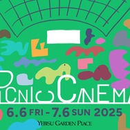 PICNIC CINEMA