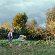 秋が来るとき 15枚目の写真・画像