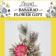 ゲキ×シネ『バサラオ』©ヴィレッヂ・劇団☆新感線