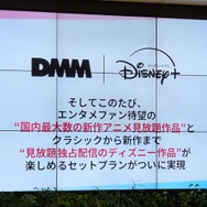 ディズニープラスとDMM TVのセットプラン