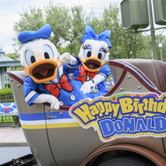 ボリューム満点のドナルドらしいオムライス！TDLグランマ・サラのキッチンのスペシャルセット