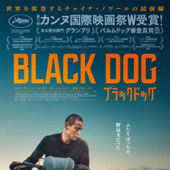 ブラックドッグ 1枚目の写真・画像