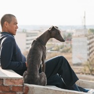 ブラックドッグ 7枚目の写真・画像