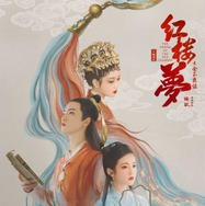 紅楼夢（こうろうむ）〜運命に引き裂かれた愛〜 3枚目の写真・画像