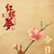 紅楼夢（こうろうむ）〜運命に引き裂かれた愛〜 4枚目の写真・画像