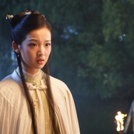 紅楼夢（こうろうむ）〜運命に引き裂かれた愛〜 13枚目の写真・画像