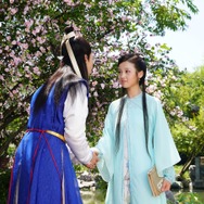 紅楼夢（こうろうむ）〜運命に引き裂かれた愛〜 17枚目の写真・画像