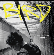 バード ここから羽ばたく 2枚目の写真・画像