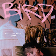 バード ここから羽ばたく 3枚目の写真・画像