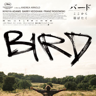 バード ここから羽ばたく 4枚目の写真・画像