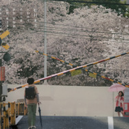 秒速5センチメートル（2025） 4枚目の写真・画像