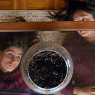 九月と七月の姉妹 6枚目の写真・画像