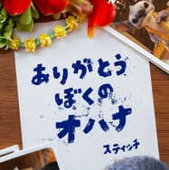 『リロ＆スティッチ』スティッチからメッセージ　(C)2025 Disney Enterprises, Inc. All Rights Reserved.