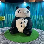 「パンダコパンダ展-ところざわサクラタウンの巻-」※写真は過去会場の様子