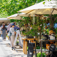 グリーン・サム・マーケット