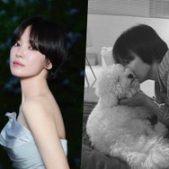 女優ソン・ヘギョ、愛犬と再会した“かけがえのない瞬間”を公開。女優仲間たちも「いいね！」【PHOTO】