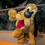 【海外ディズニー】農夫スタイルのミッキーがごあいさつ！エプコットの人気レストランを体験　フロリダ WDW