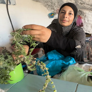 壁の外側と内側 13枚目の写真・画像