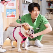 「初恋DOGs」第1話（C）TBS