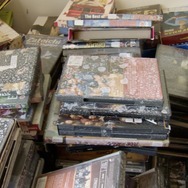 キムズビデオ 13枚目の写真・画像