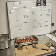 ムガリッツ 12枚目の写真・画像