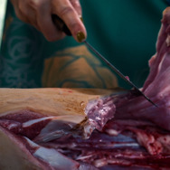 狗神の業 9枚目の写真・画像