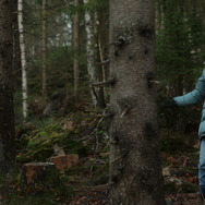 DREAMS 9枚目の写真・画像