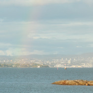 LOVE 11枚目の写真・画像