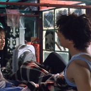 野。良犬 5枚目の写真・画像