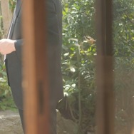 すとん 2枚目の写真・画像