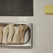 ムガリッツ 13枚目の写真・画像