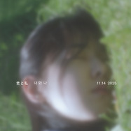 君と私 7枚目の写真・画像