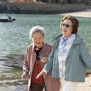 最後のピクニック 2枚目の写真・画像