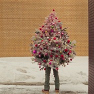 ユニバーサル・ランゲージ 7枚目の写真・画像